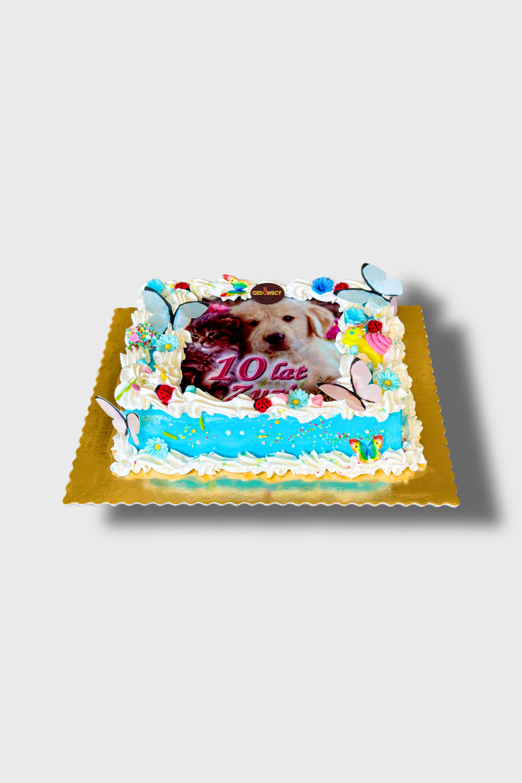 Tort urodzinowy podstawowy - Pies i kot niebieski opłatek 2